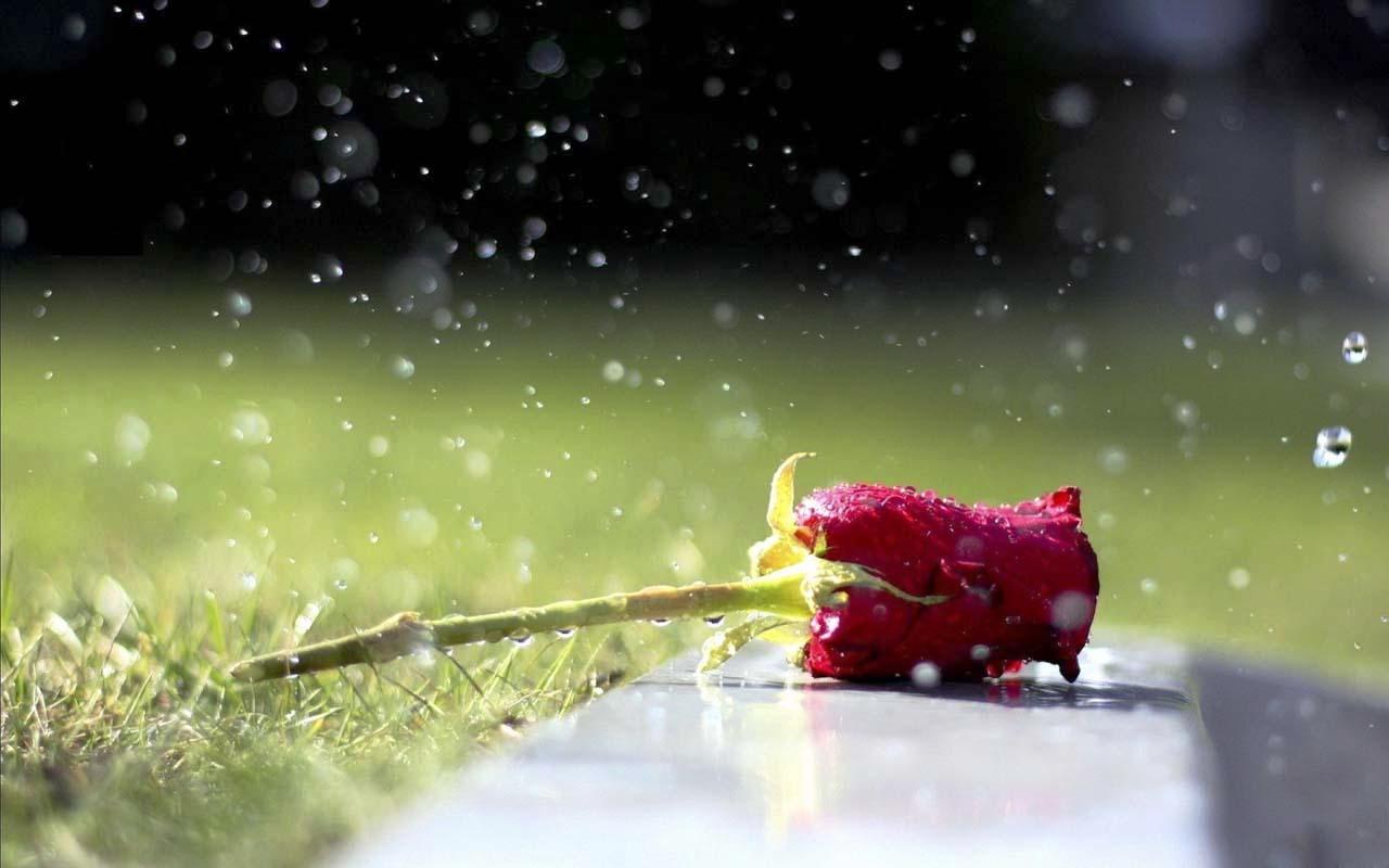 85+ Gambar Foto Romantisme HD